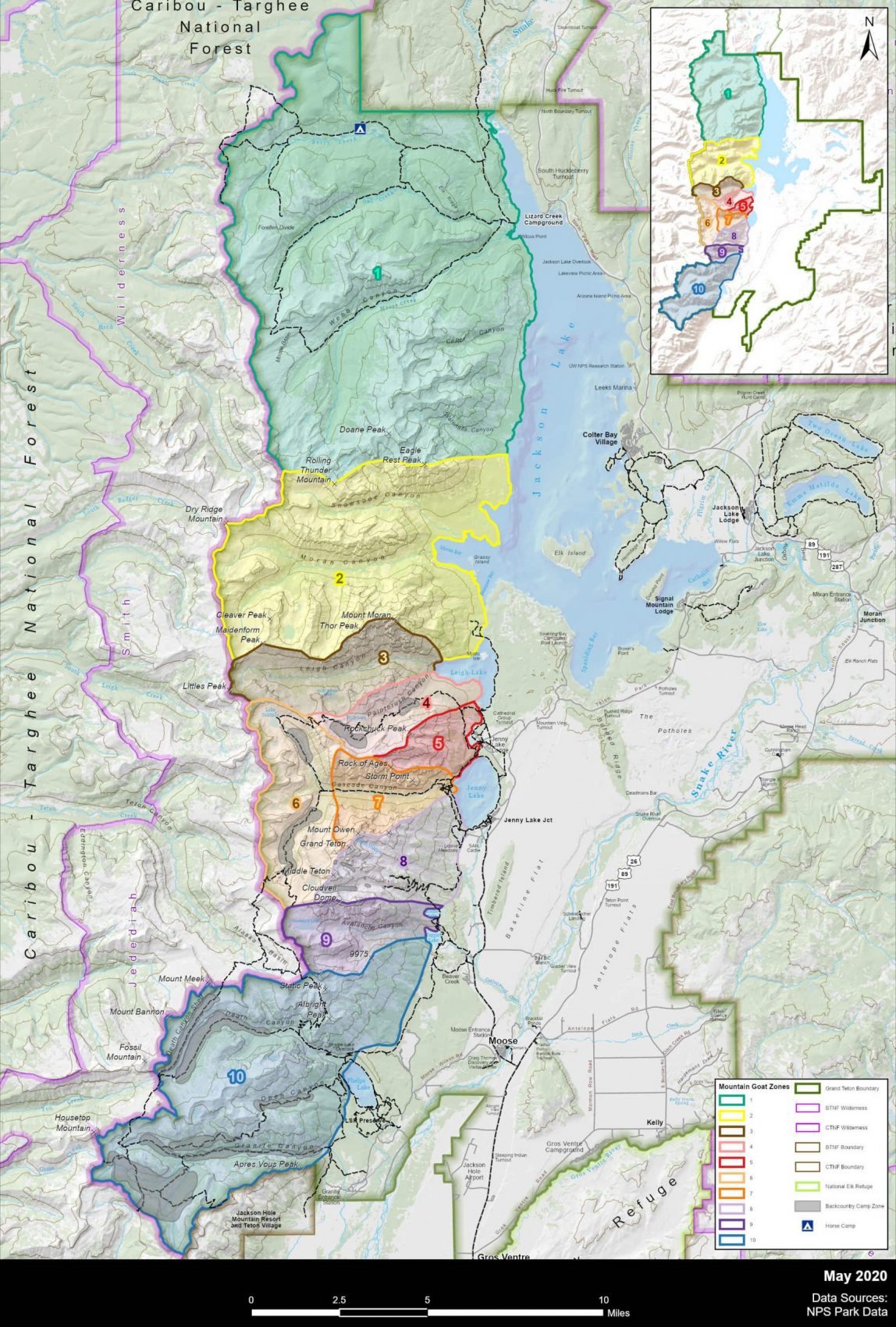 mountain goats, Grand Teton national park, 