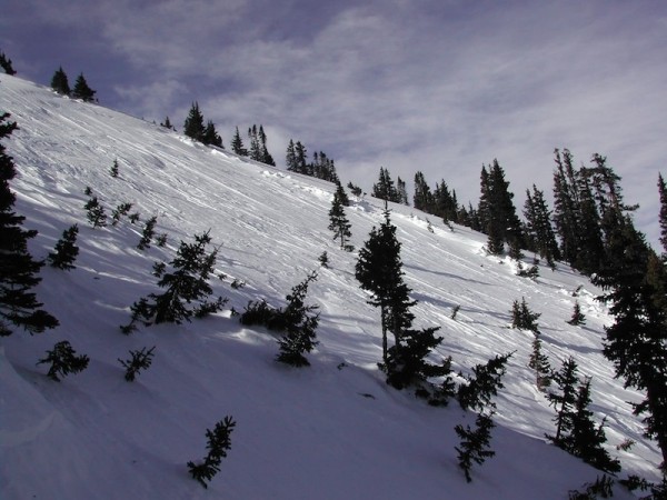 avalanche, trees