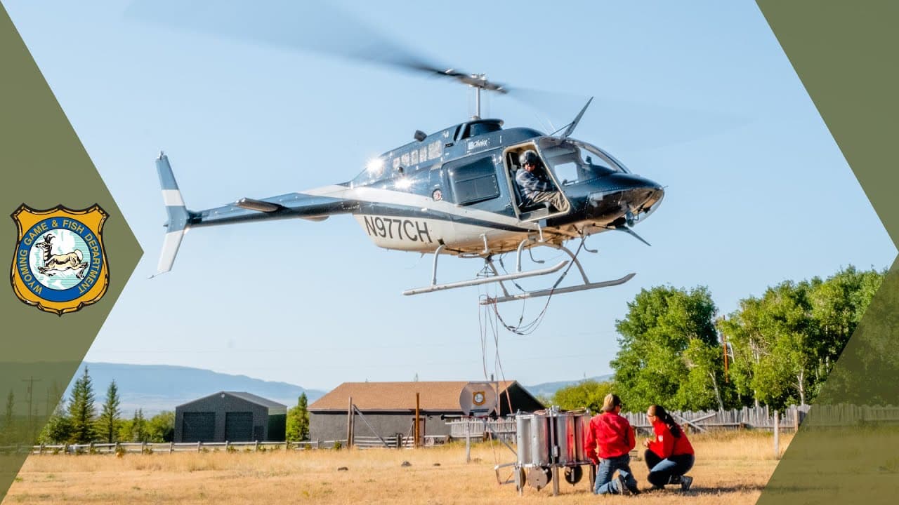 fish, wyoming, restocked, helicopter