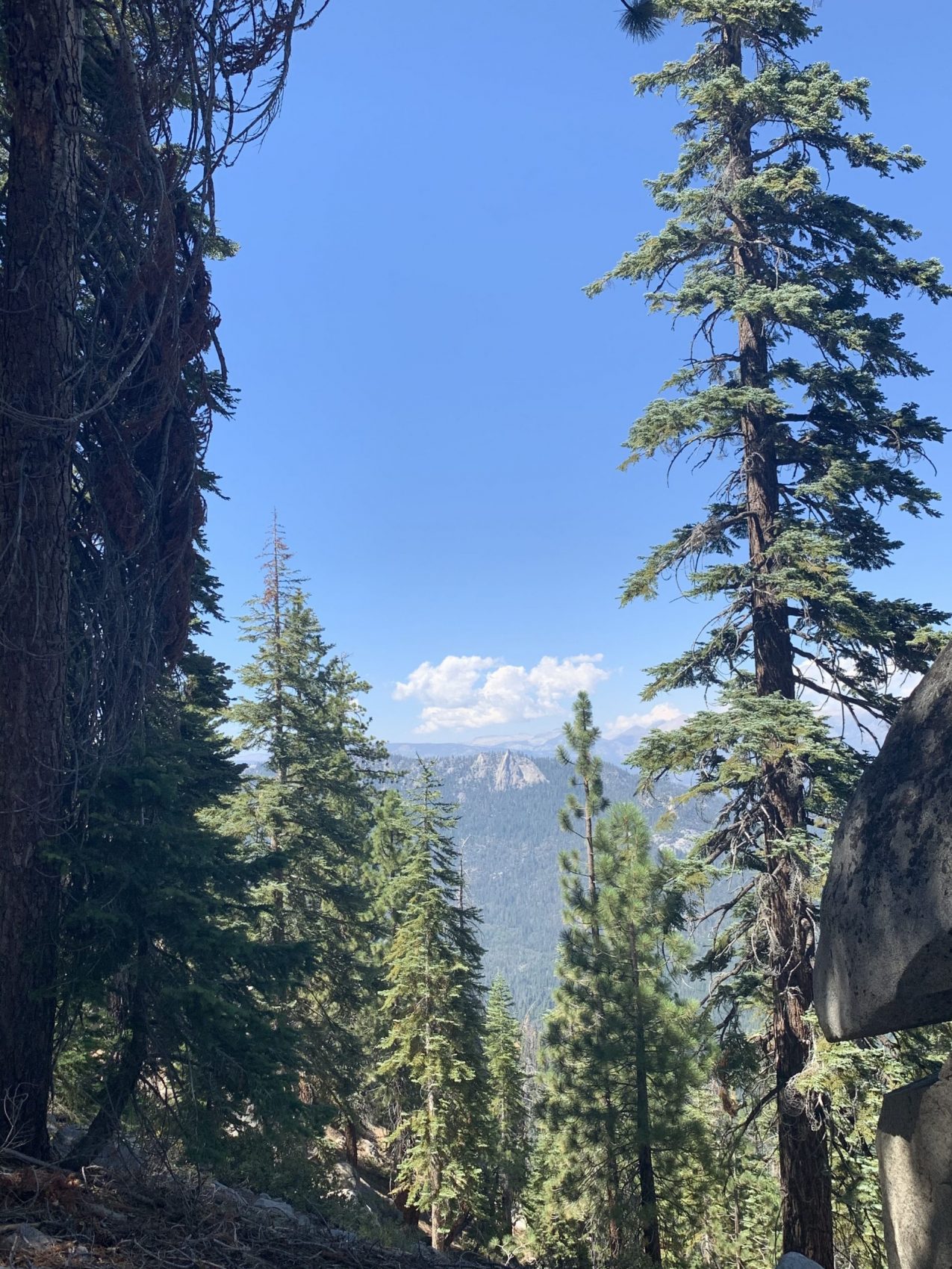 Needles Lookout