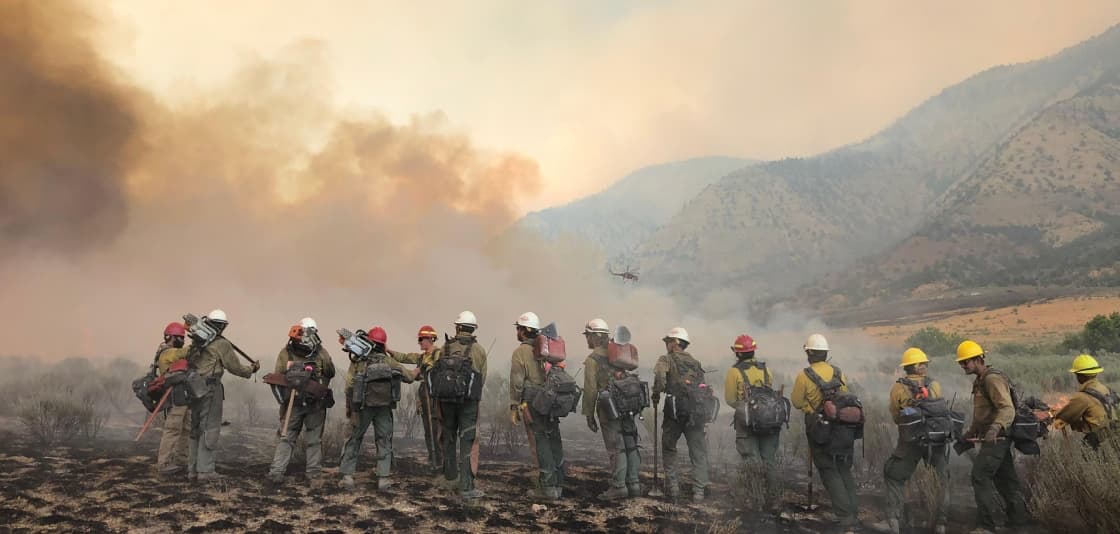 summer, hottest, record, wildfire