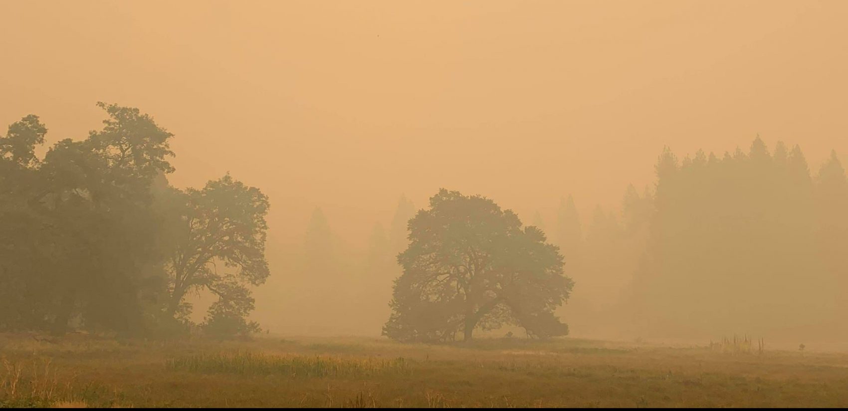 Yosemite, closed, wildfires, smoke