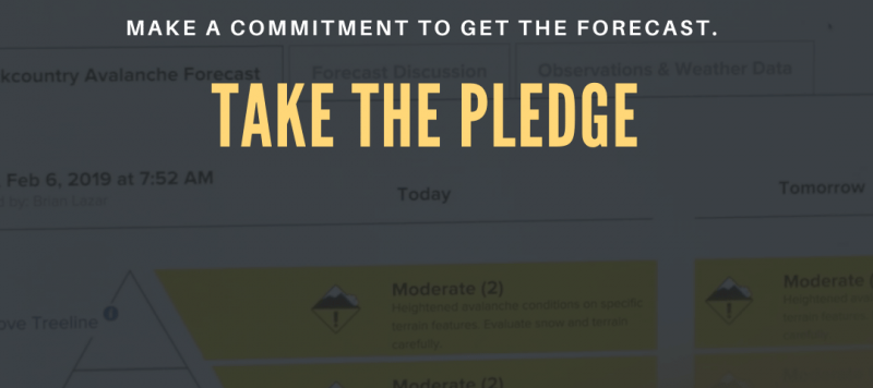 CAIC pledge
