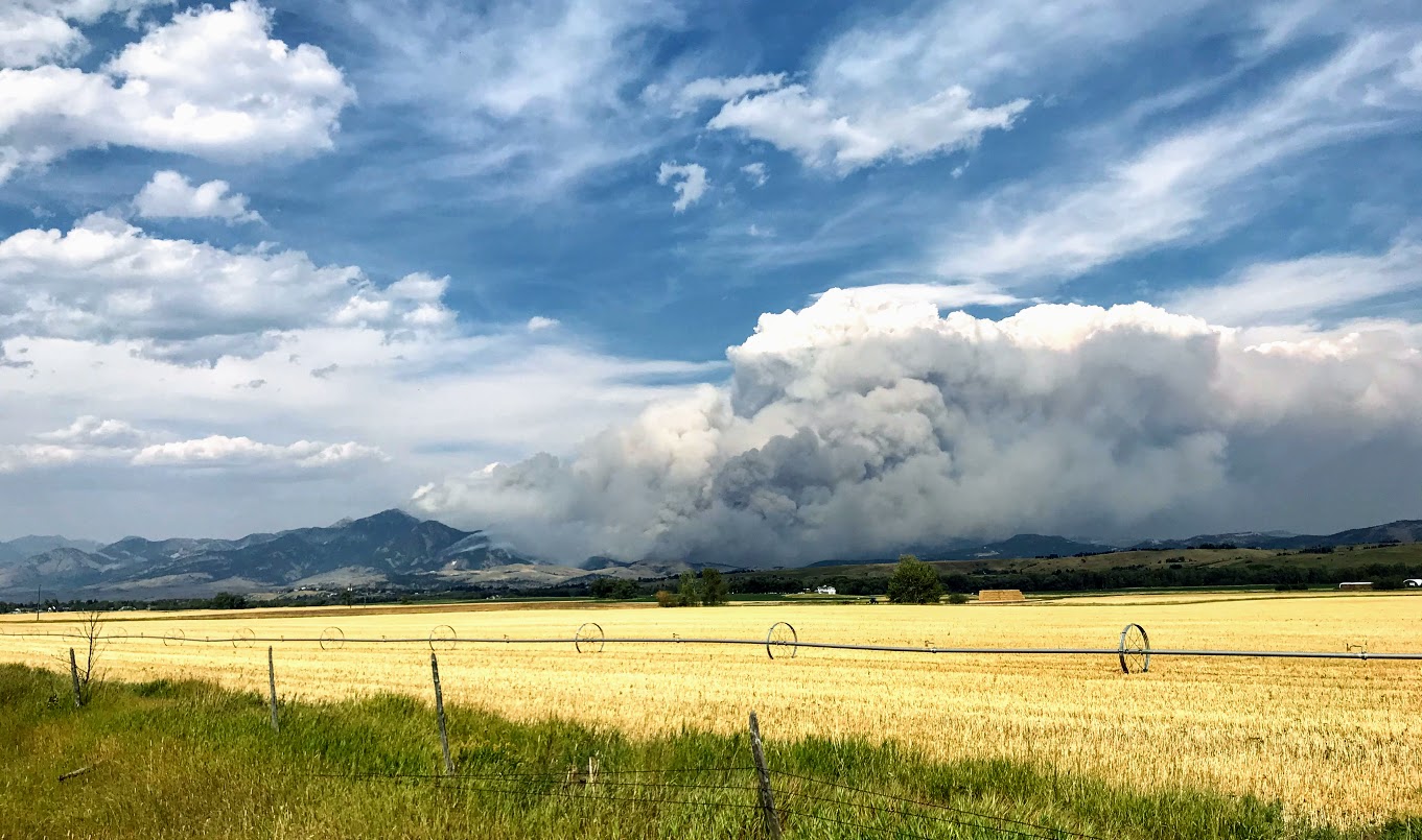 Bozeman fire
