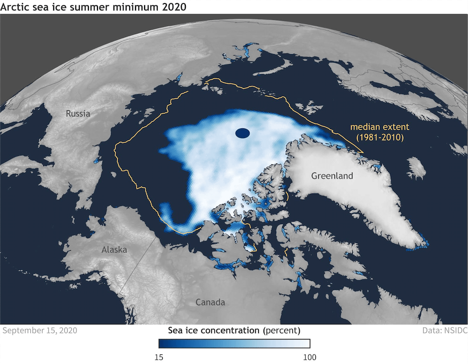 arctic sea ice