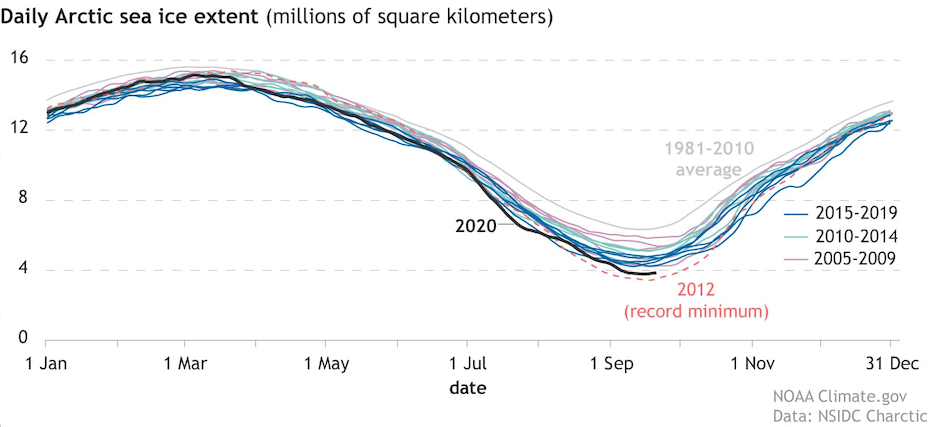 arctic sea ice