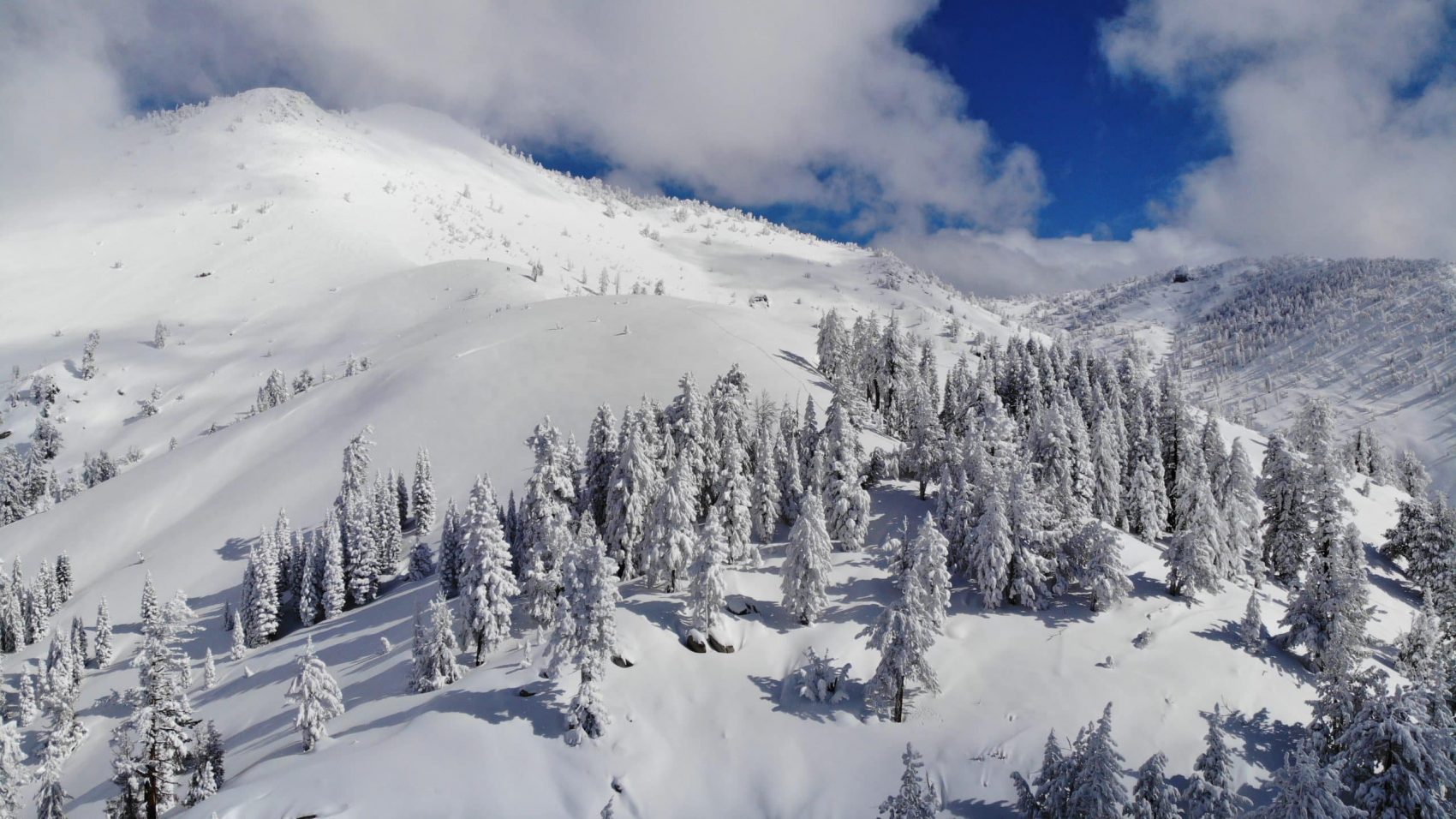 Tahoe backcountry alliance