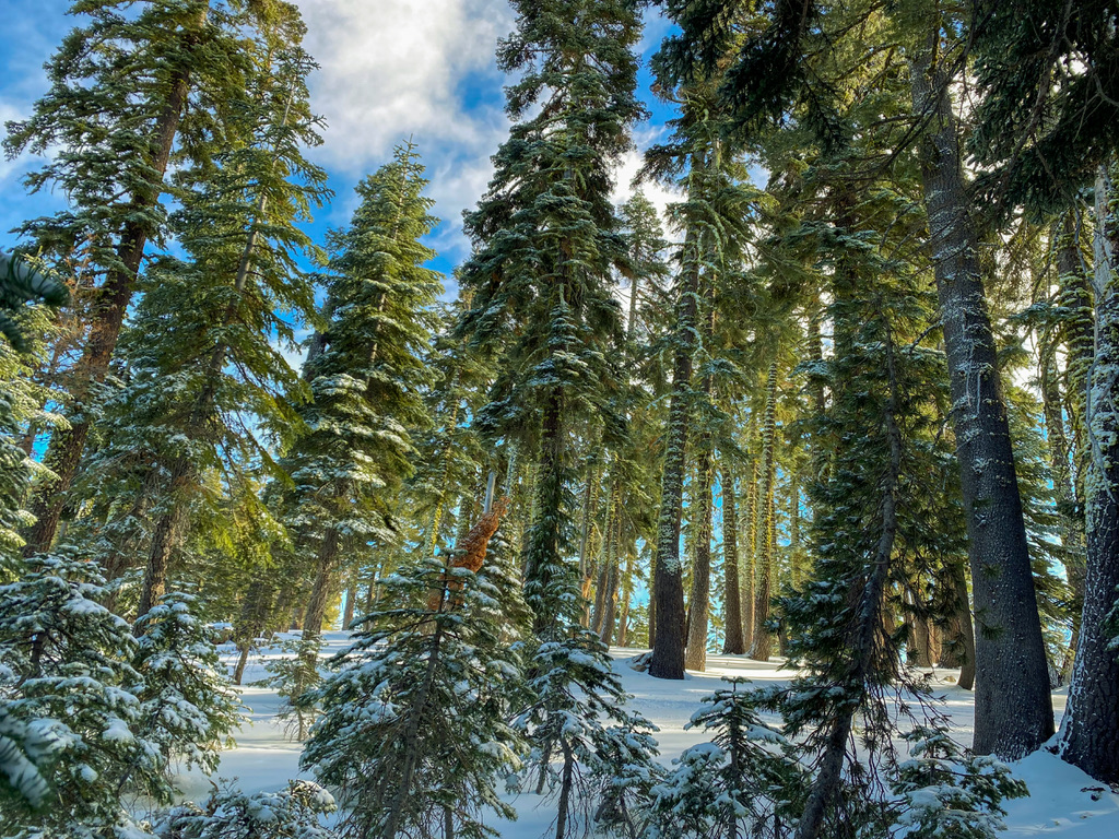 alpine meadows, california