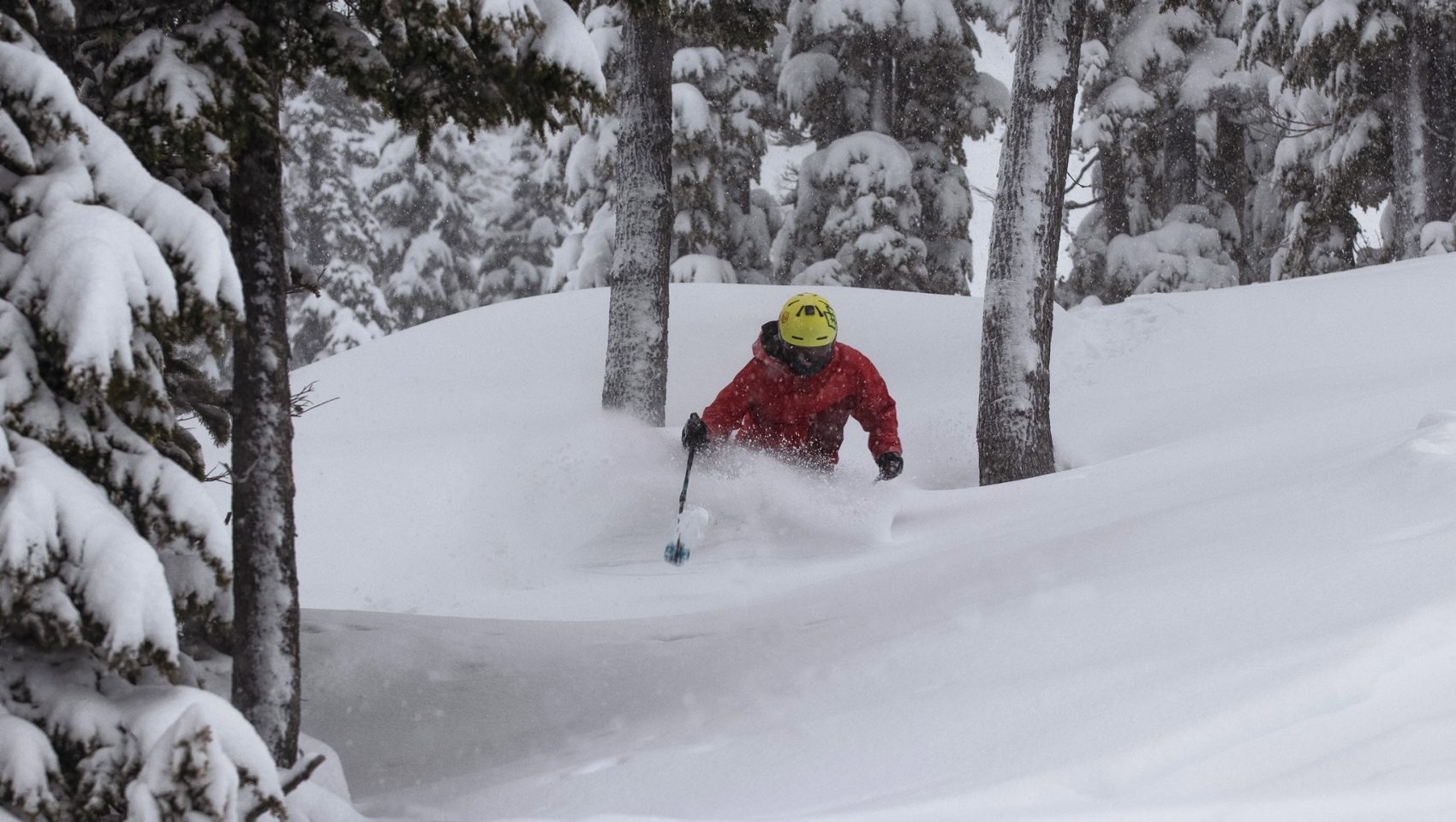 Mount Washington alpine resort, British Columbia,