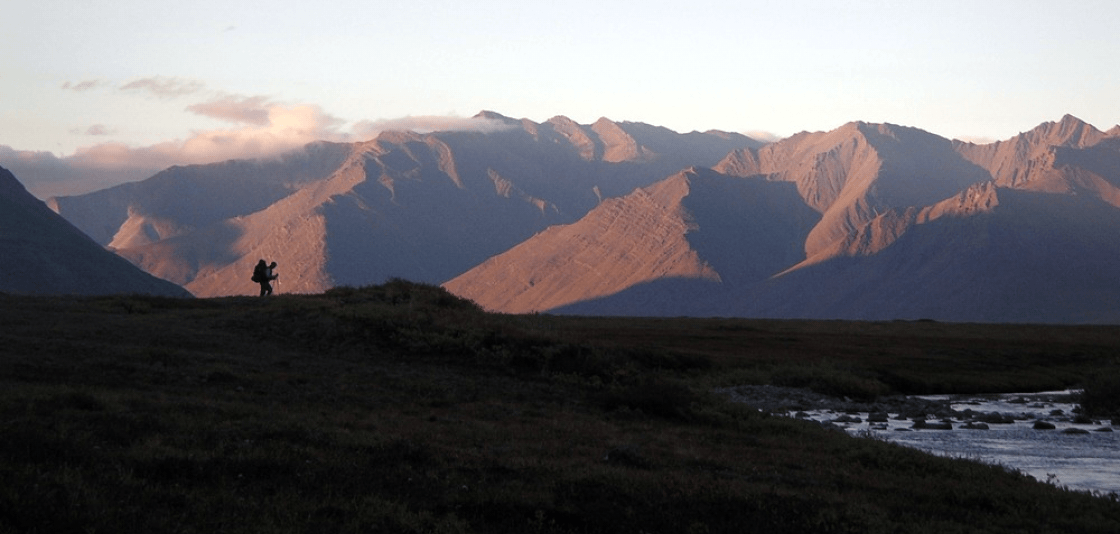 arctic,