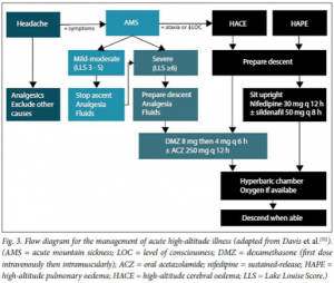 high-altitude pulmonary edema flowchart