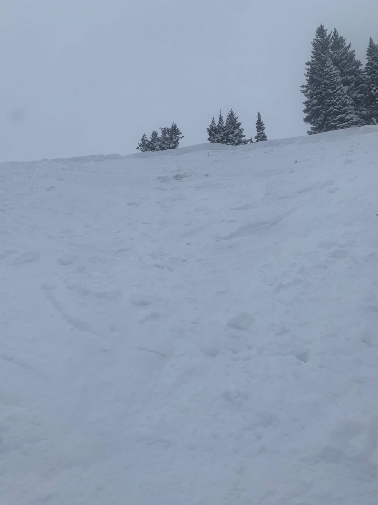 colorado, avalanche