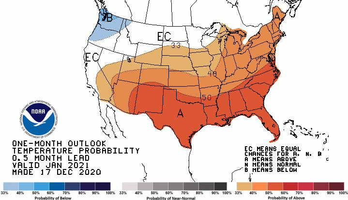 temperature, January 2021