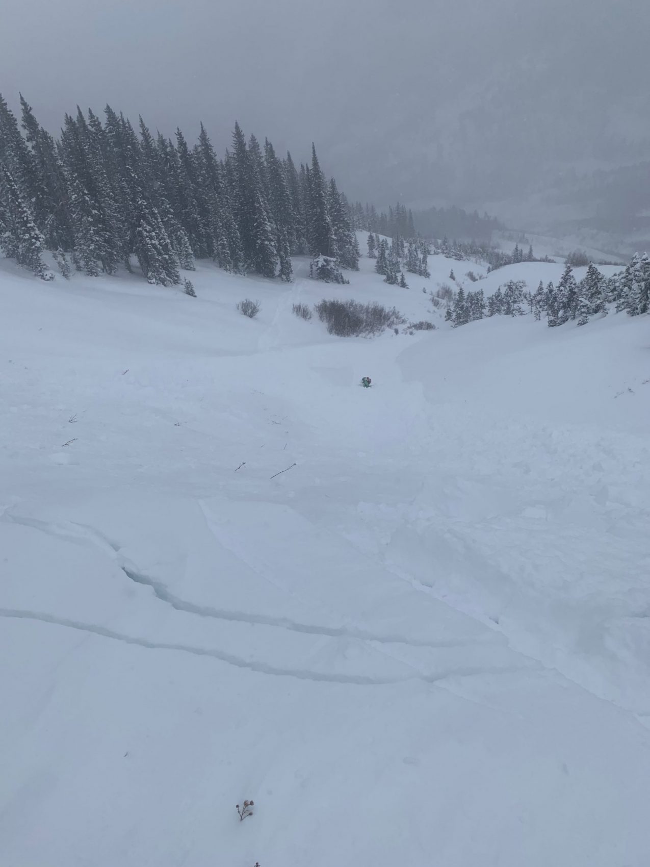 avalanche, colorado,
