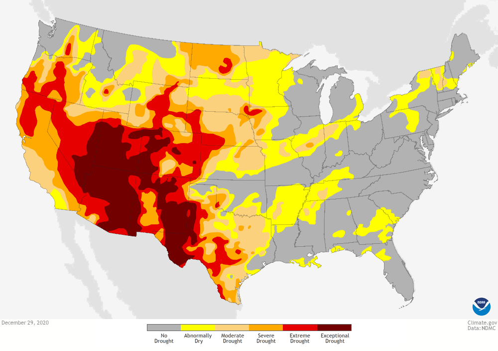 January outlook,