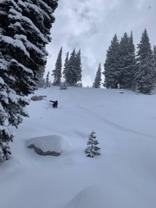 To show the skis in powder