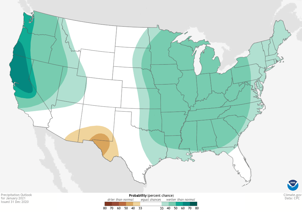 January outlook, precipitation,