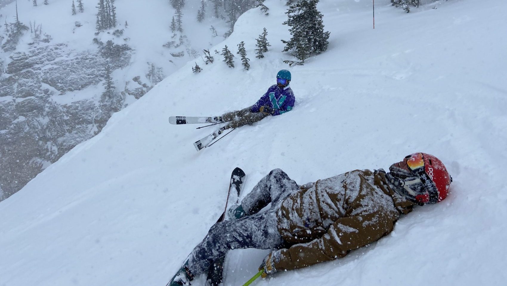 Alta Report