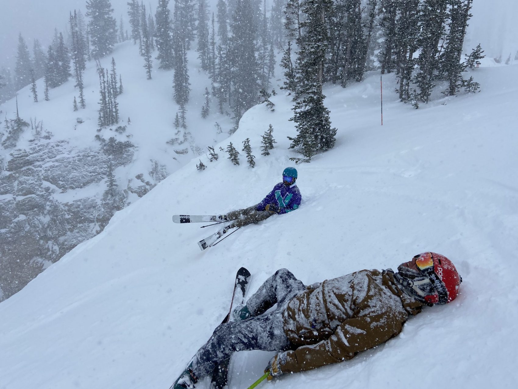 Alta Report
