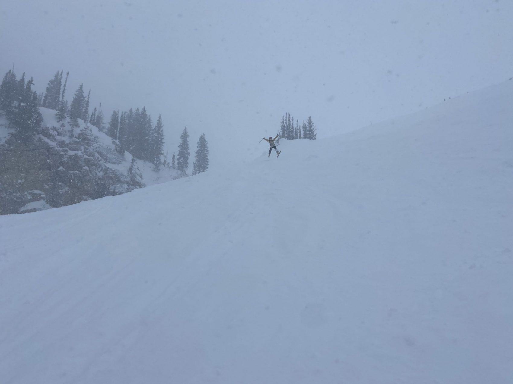 Alta Report
