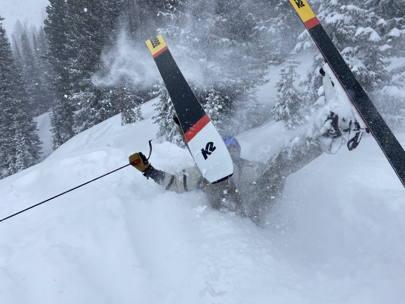 Alta Report