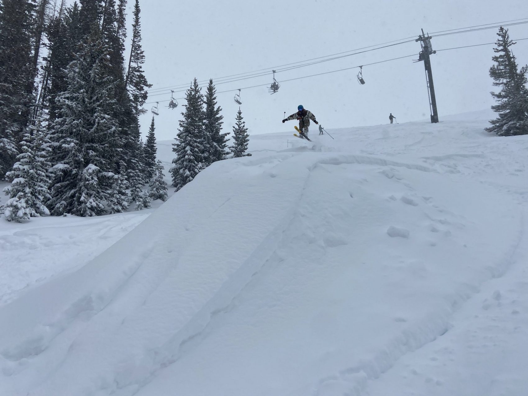 Alta Report