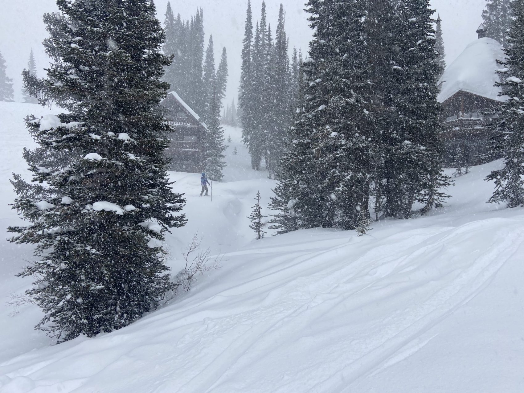 Alta Report