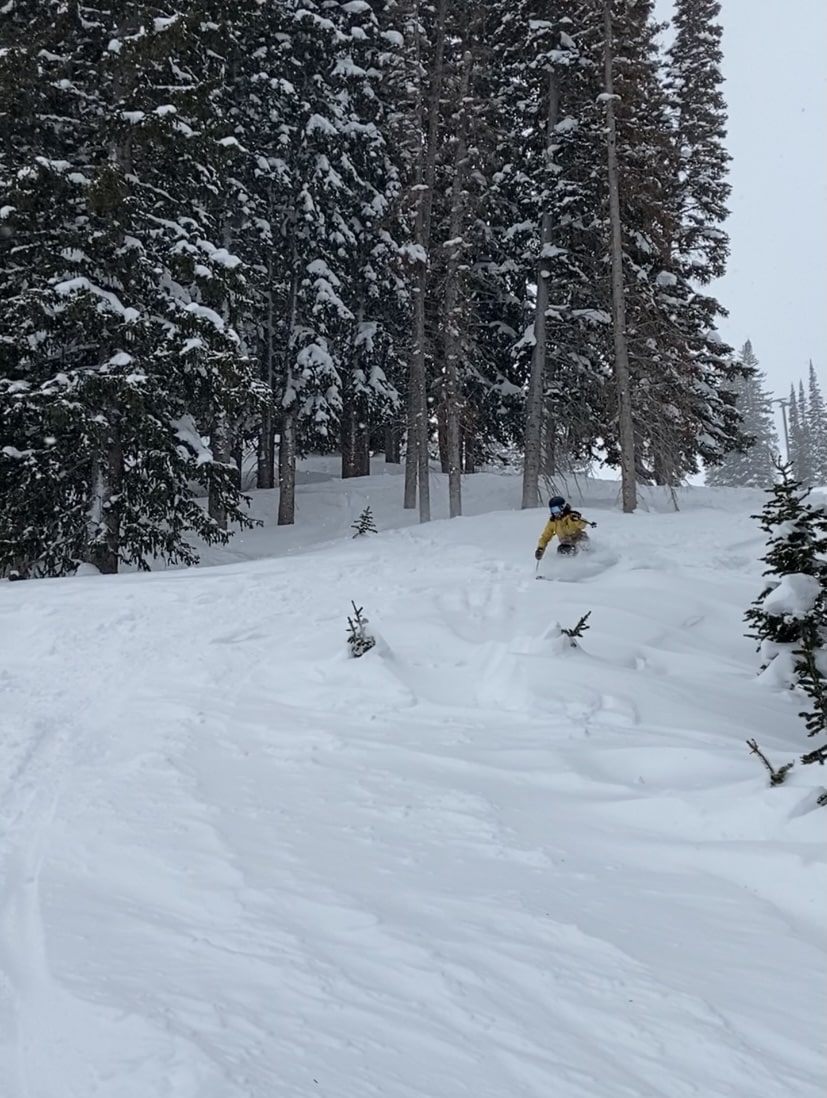 Alta Report