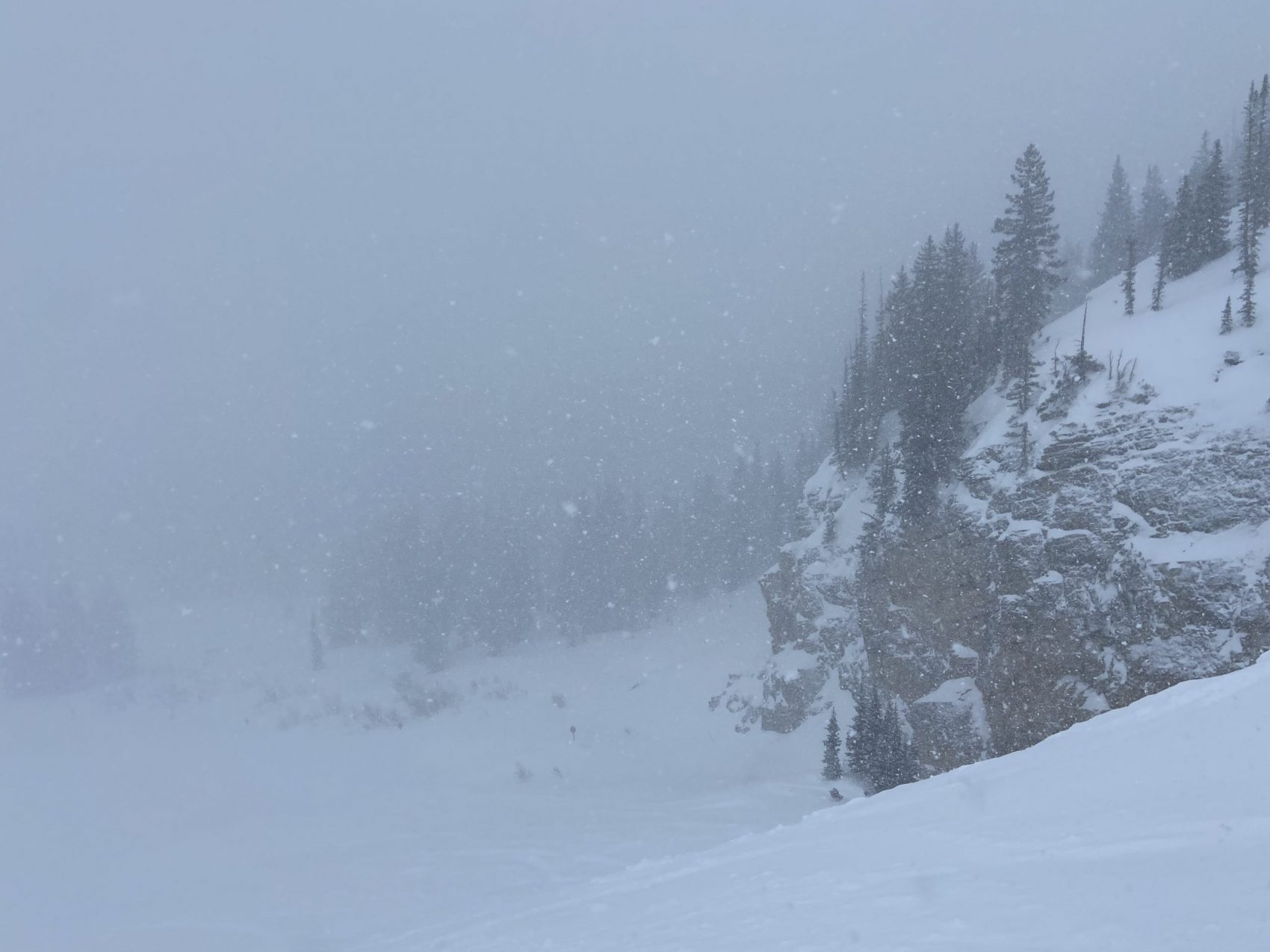 Alta Report