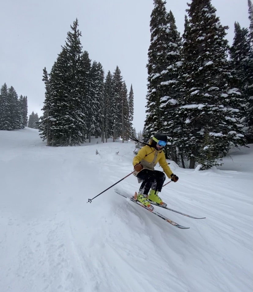 Alta Report