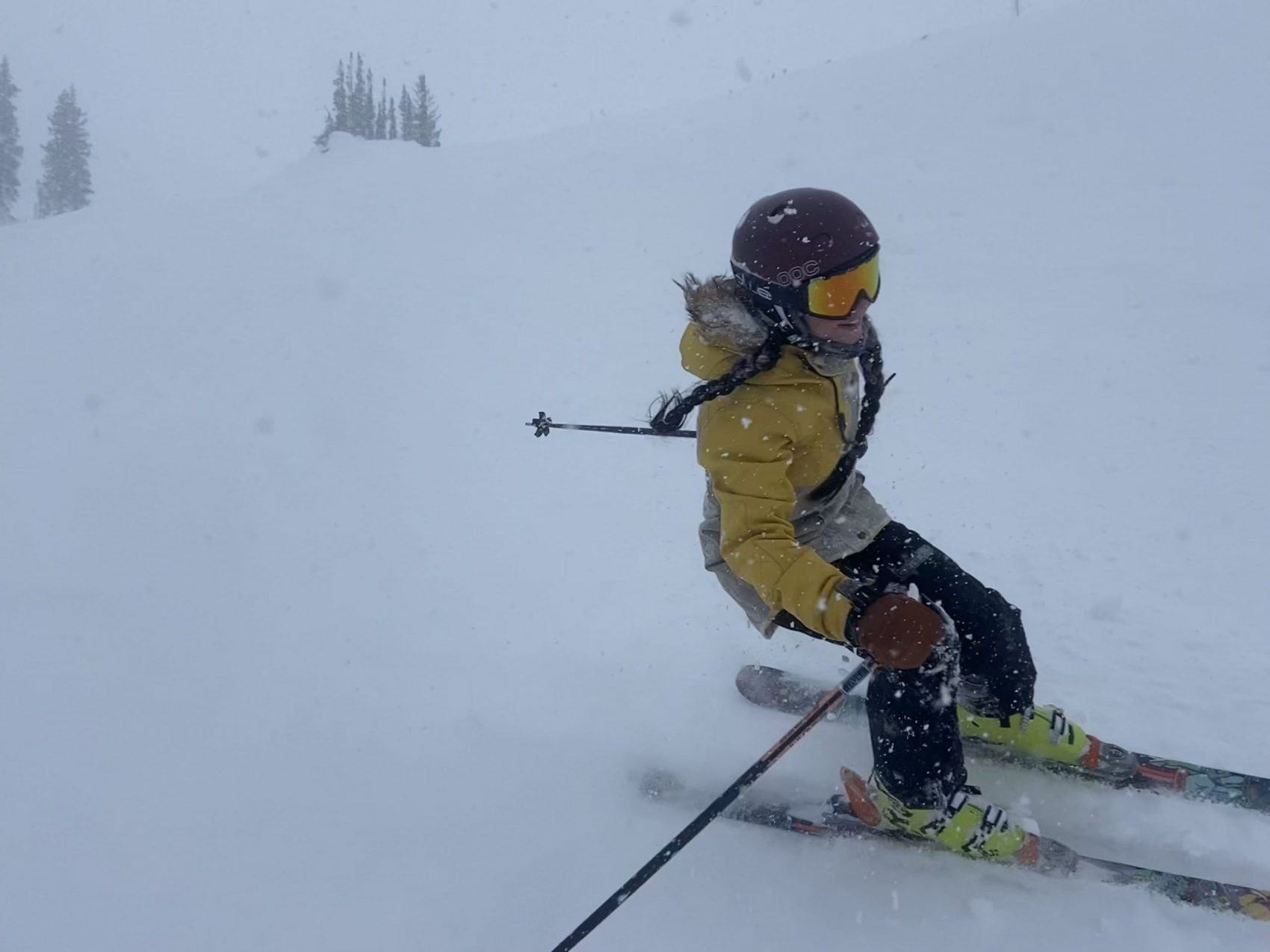 Alta Report