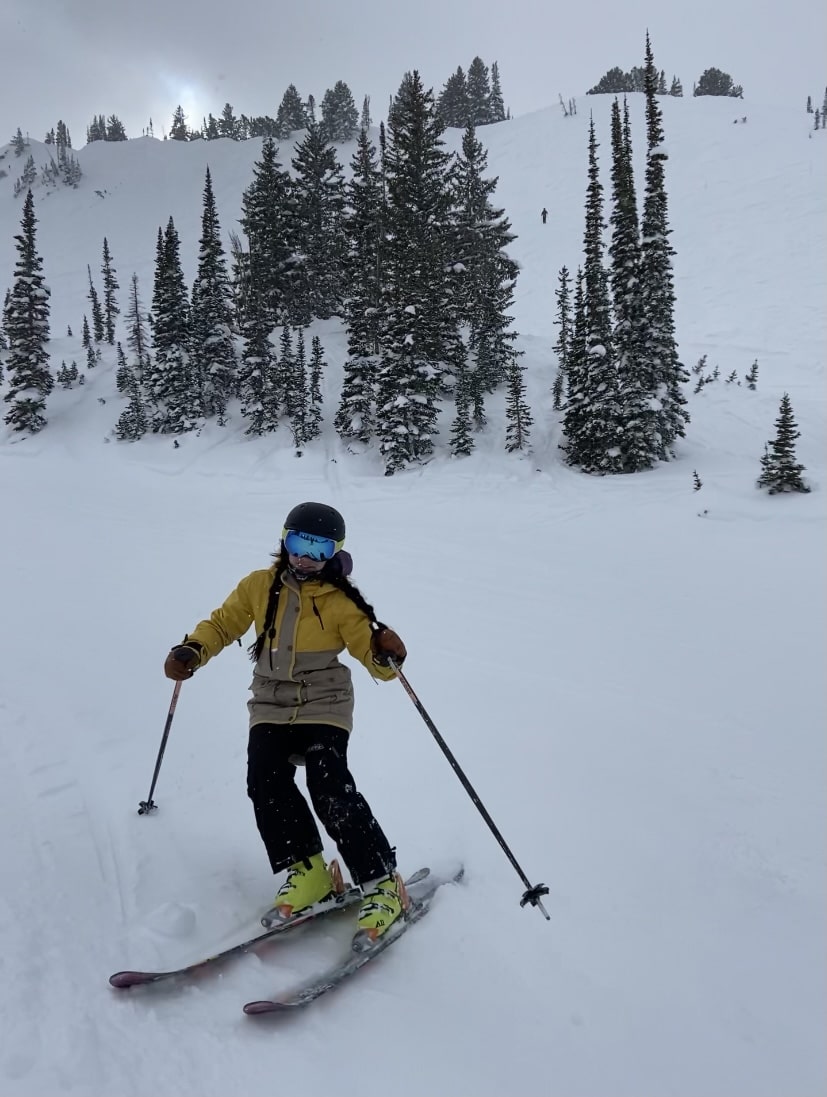 Alta Report