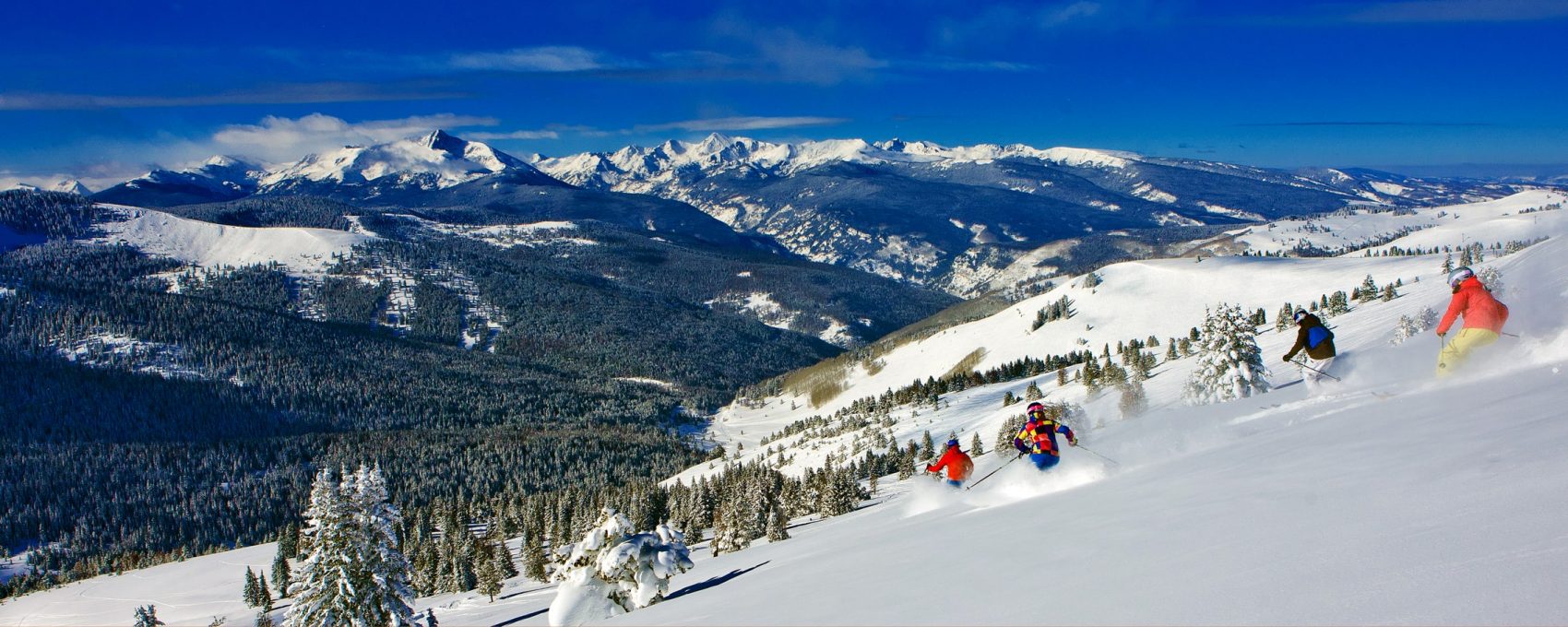 Vail Shred