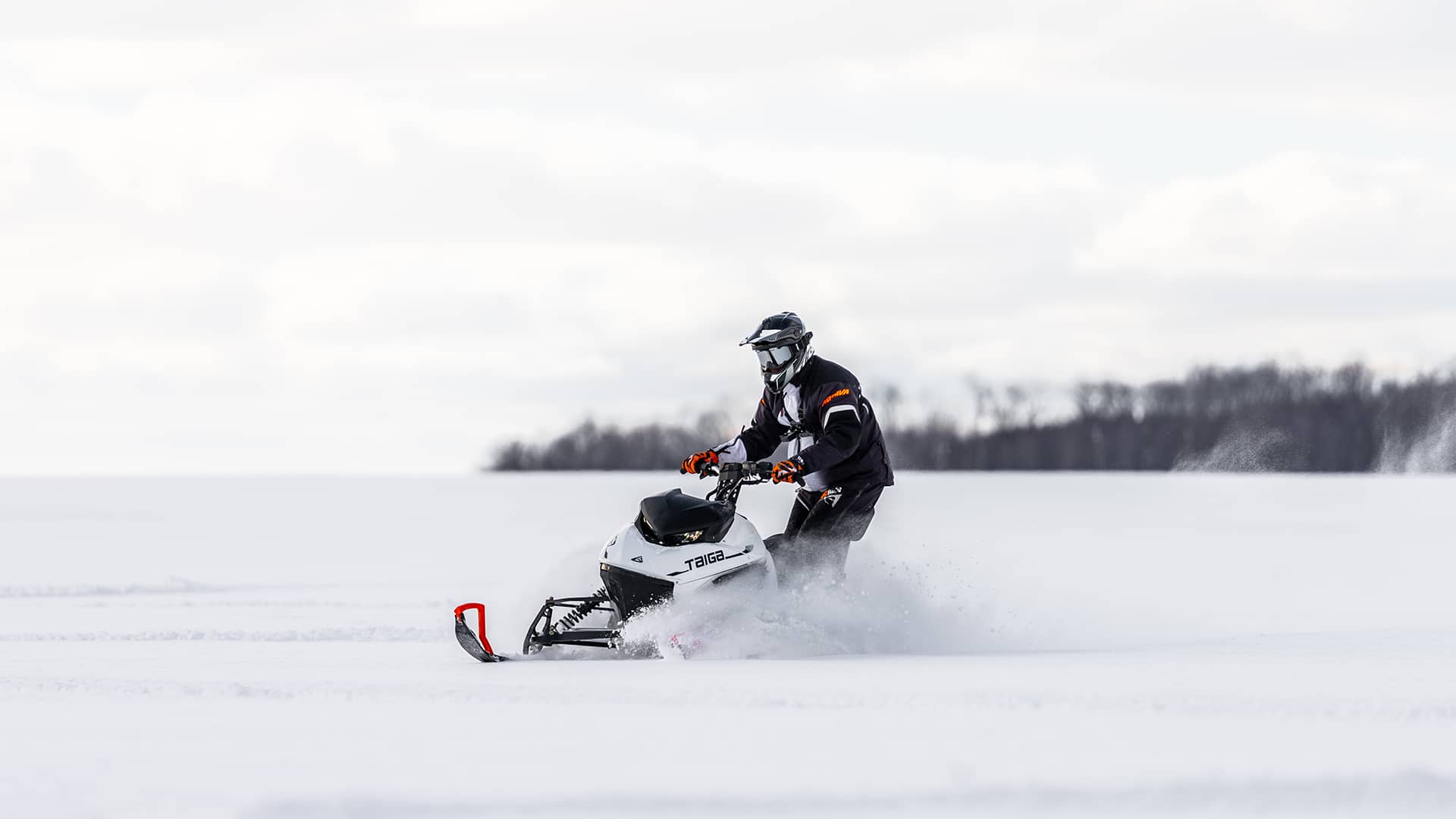 Electric Sled