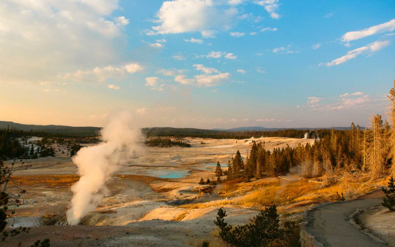 Geyser in Yellowstone National Park 