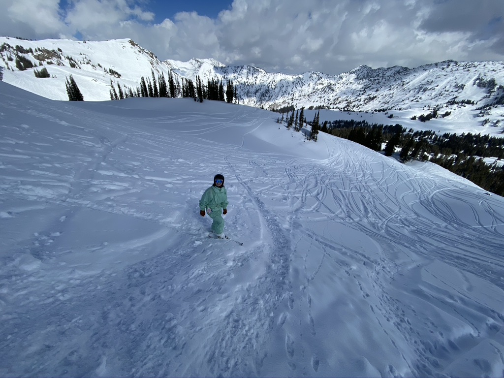 Alta Report