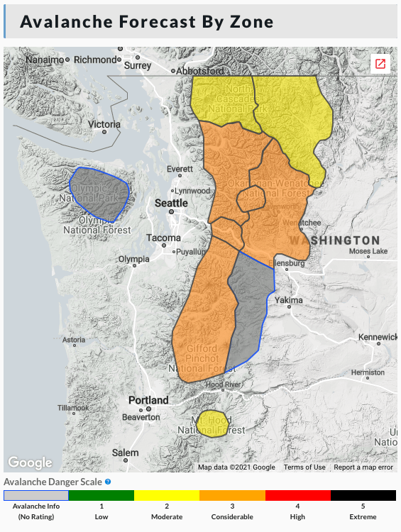 forecast