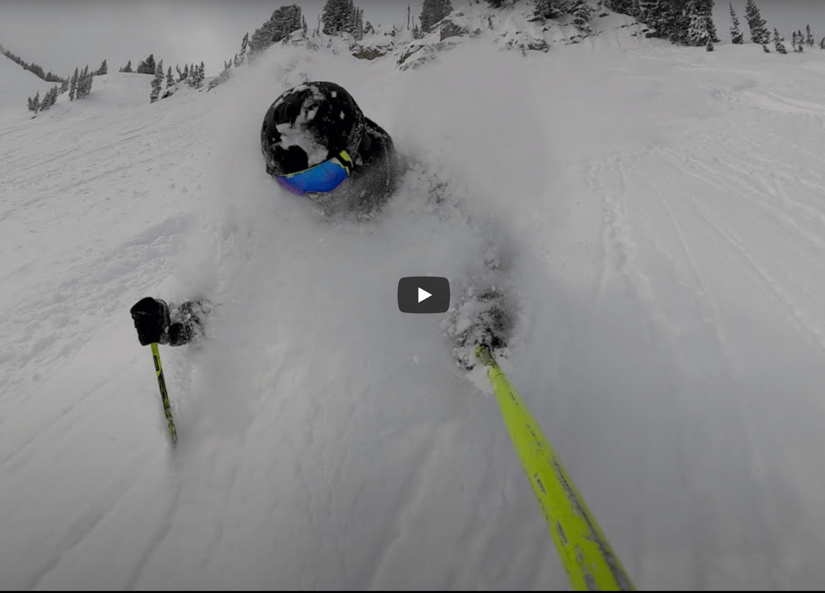 the daily pow, Alta, Utah