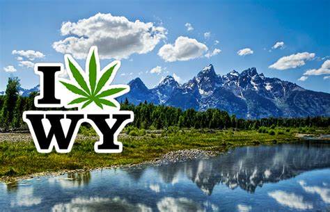 Wyoming cannabis