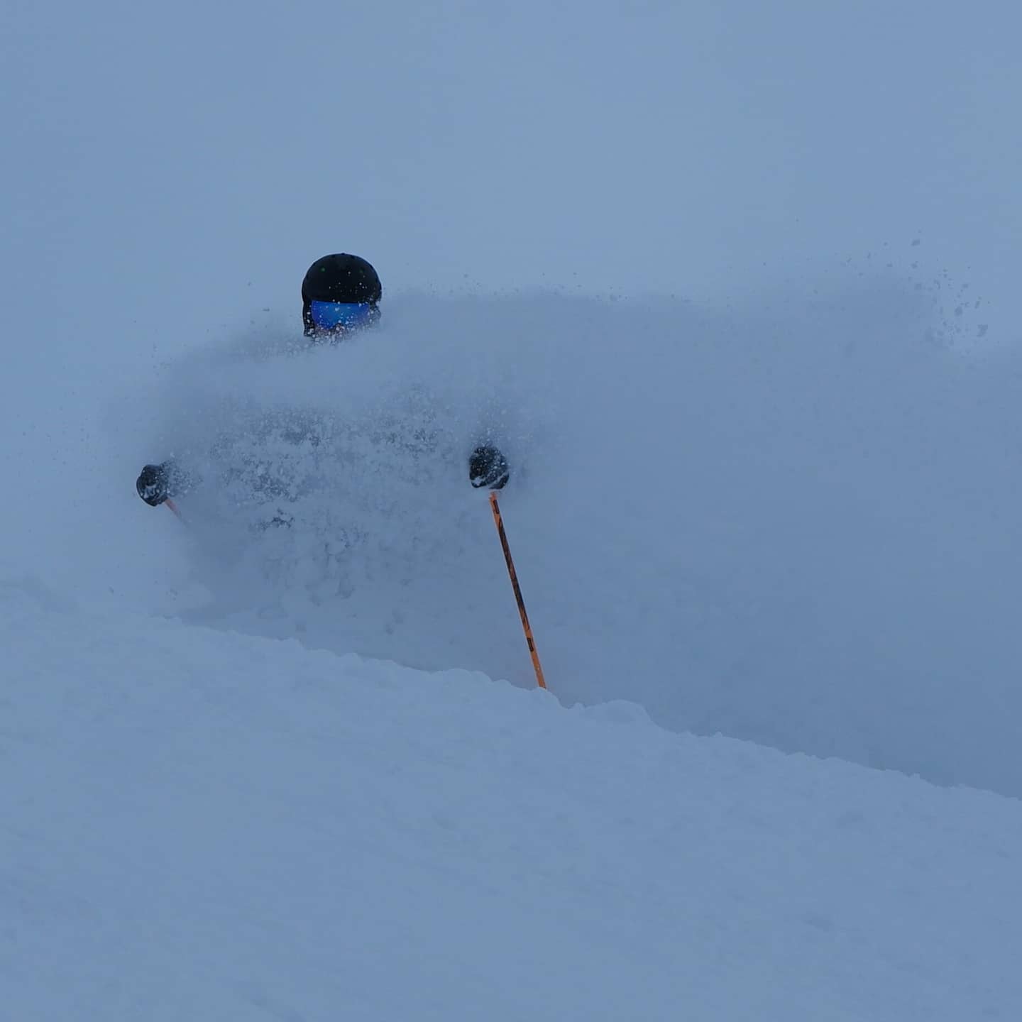 alta, utah, daily POW