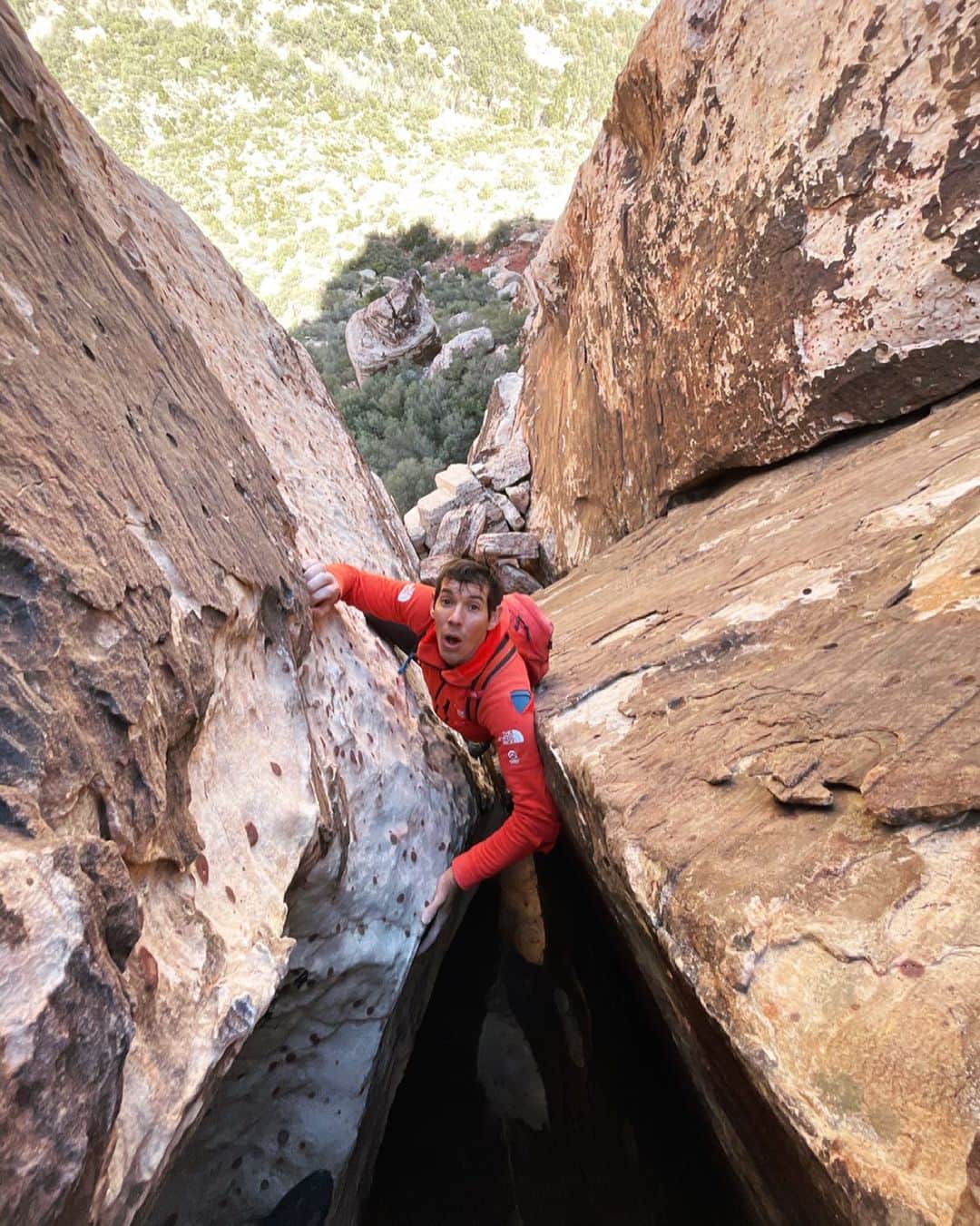 Alex Honnold, cedar wright