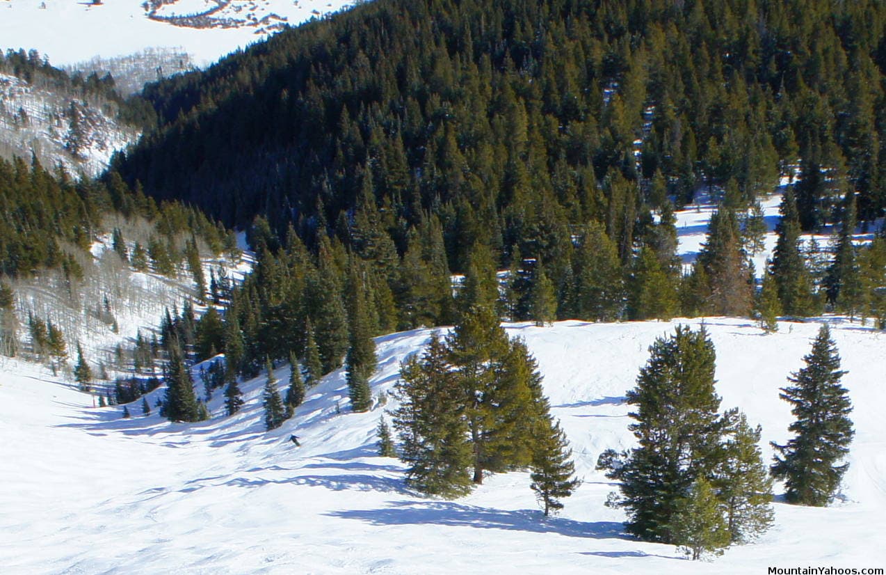 aspen mountain, Walsh's run, colorado