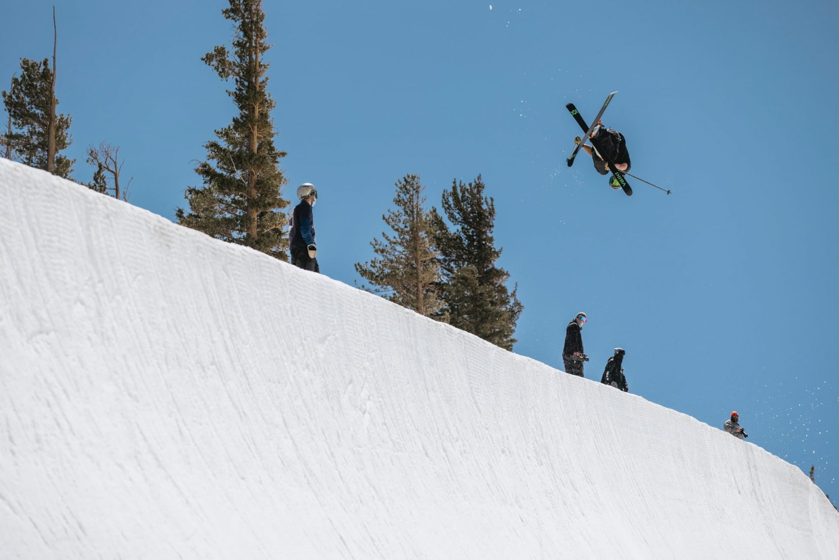 mammoth,