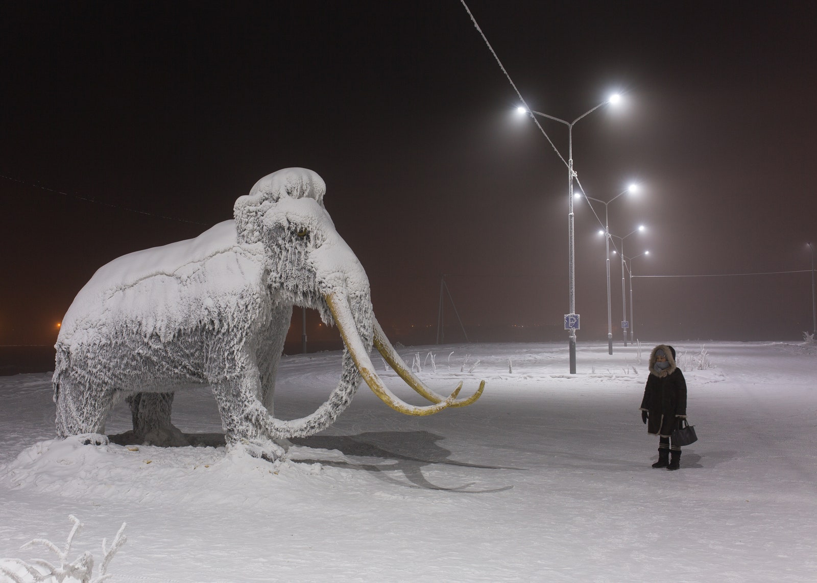 mammoth museum!