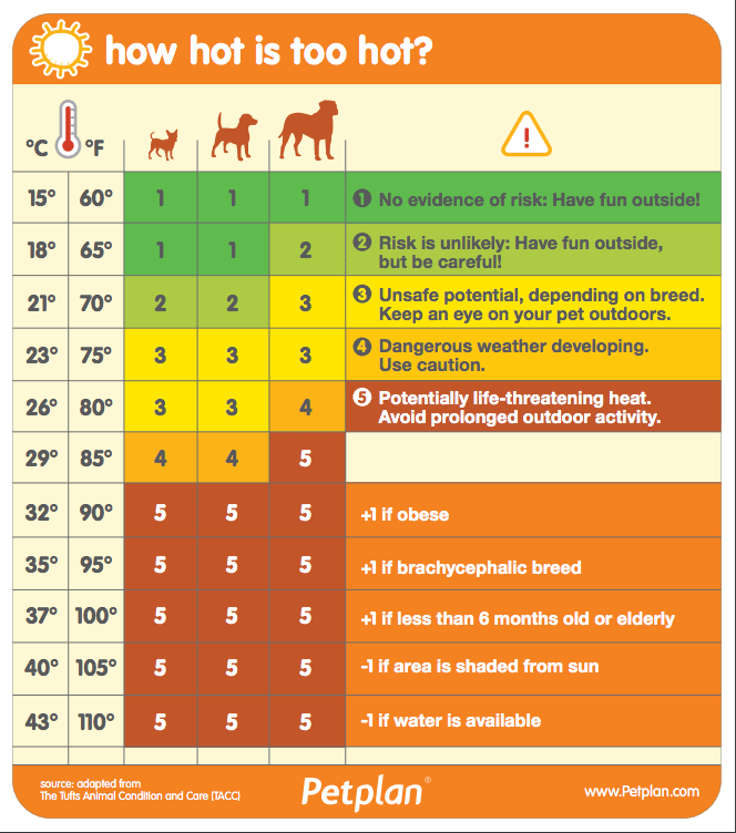 Temperature chart