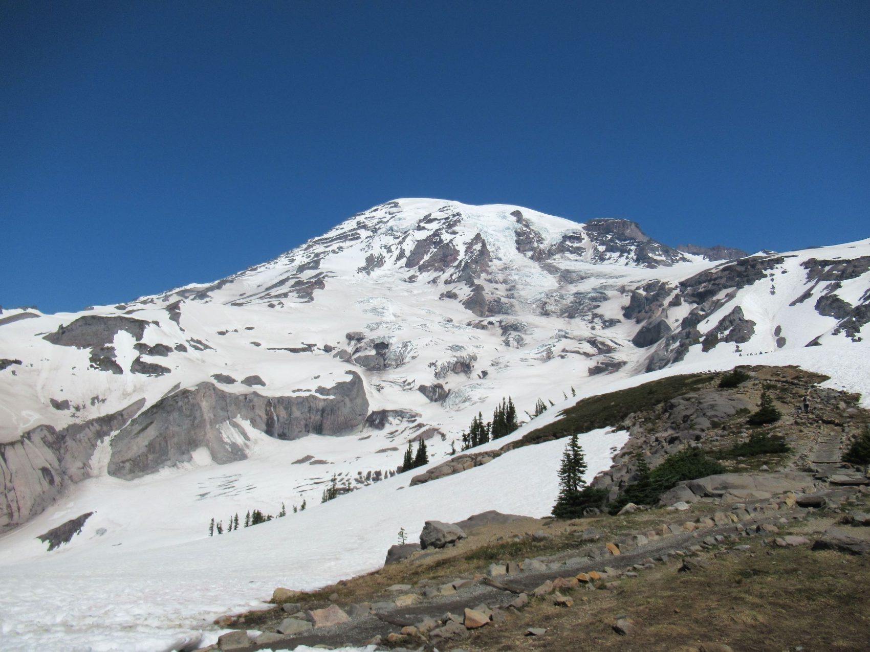 Mt. Rainier