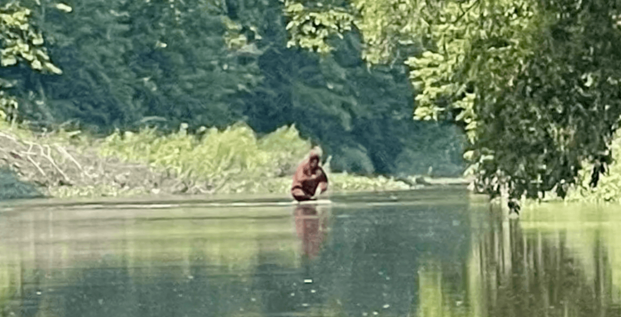Bigfoot