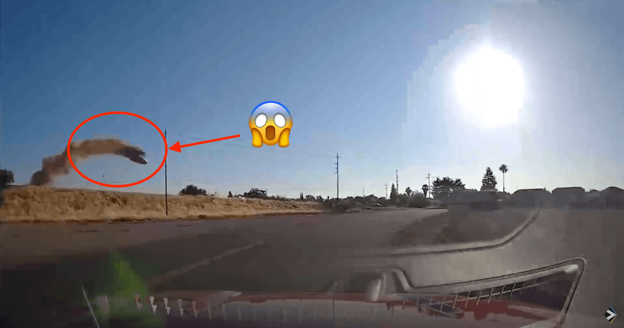 car flies, dashcam