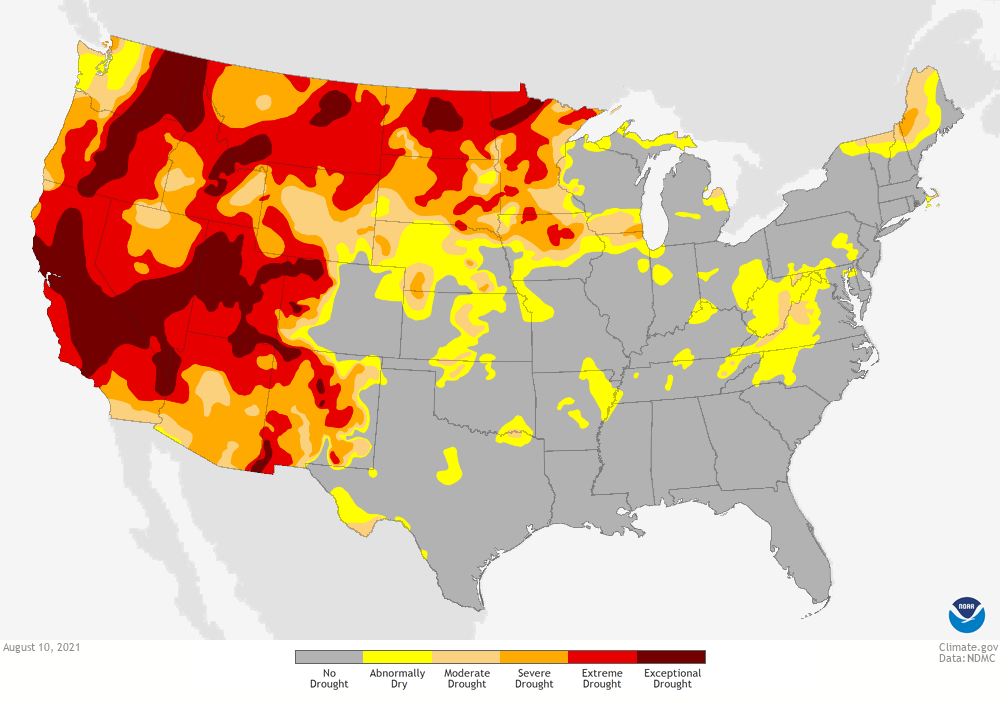 la niña, el niño, ENSO, noaa, drought