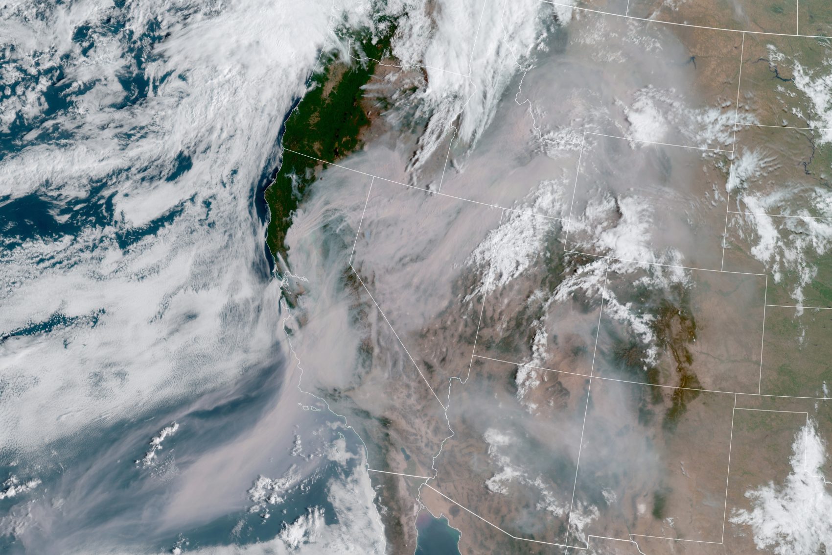 smoke, wildfire,